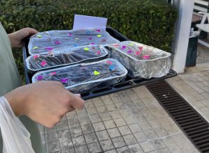 1η Οκτωβρίου – Παγκόσμια Ημέρα Τρίτης Ηλικίας